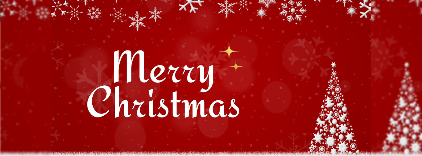 Bikini Bliss Shop -Bikini Bliss Shop 87